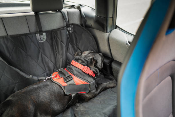 Top 5 Benefits of Using Auto Towel Seat Covers in Your Car